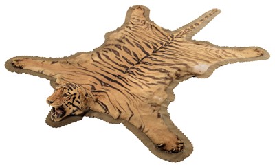 Lot 238 - Taxidermy: A Late Victorian Bengal Tiger...