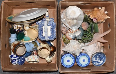 Lot 431 - A quantity of seashells and assorted 19th...