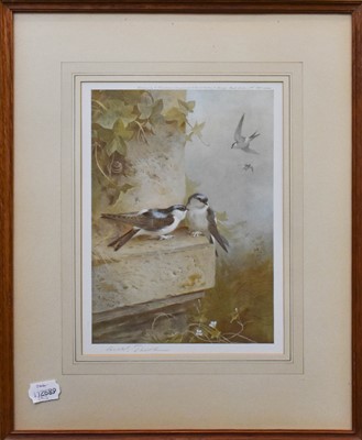 Lot 1167 - After Archibald Thorburn "Robin and Wren"...