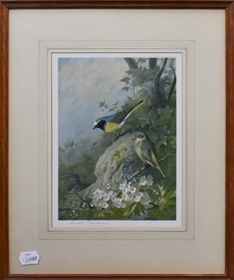 Lot 1167 - After Archibald Thorburn "Robin and Wren"...