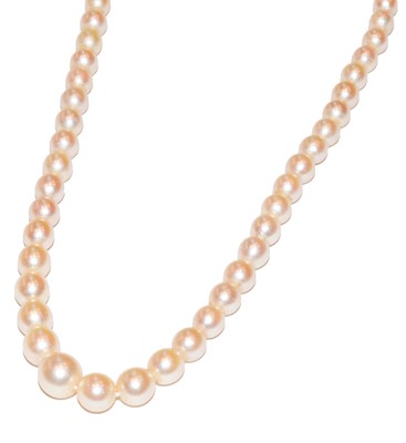 Lot 166 - A graduated cultured pearl necklace knotted to...