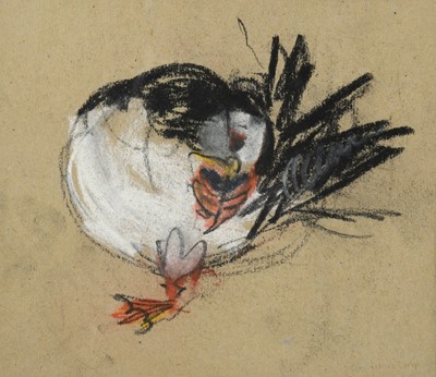 Lot 2013 - Selina Thorp (b.1968) 'Puffin, Isle of Lunger'...