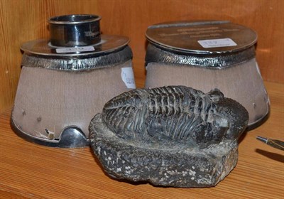 Lot 339 - A horse hoof inkwell with silver plated mounts, inscribed O'Ryan, Winner of Many Point to...