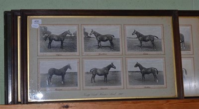 Lot 400 - Two framed groups of photographs relating to Knepp Castle 1910 and 1912; and a print 'Sweet...