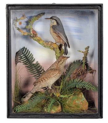 Lot 131 - Taxidermy: A Late Victorian Cased Nuthatch and...