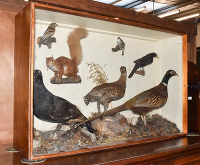 Lot 435 - Taxidermy: A Victorian Cased Diorama of...