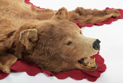 Lot 142 - Taxidermy: North American Brown Bear Skin...