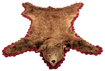 Lot 142 - Taxidermy: North American Brown Bear Skin...