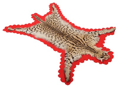 Lot 132 - Taxidermy: Serval Skin Rug (Leptailurus...