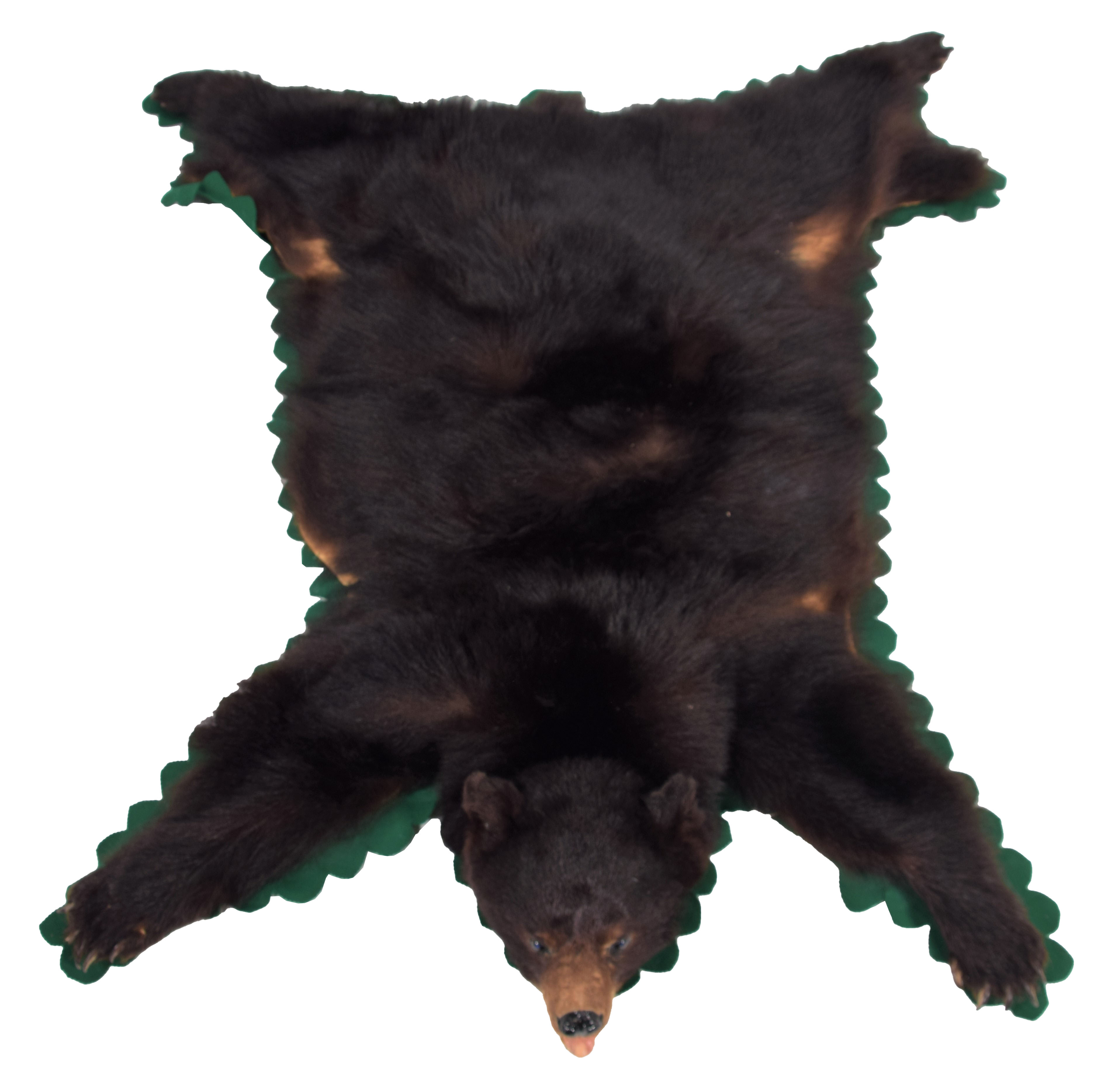 Lot 99 Taxidermy North American Black Bear Skin Rug