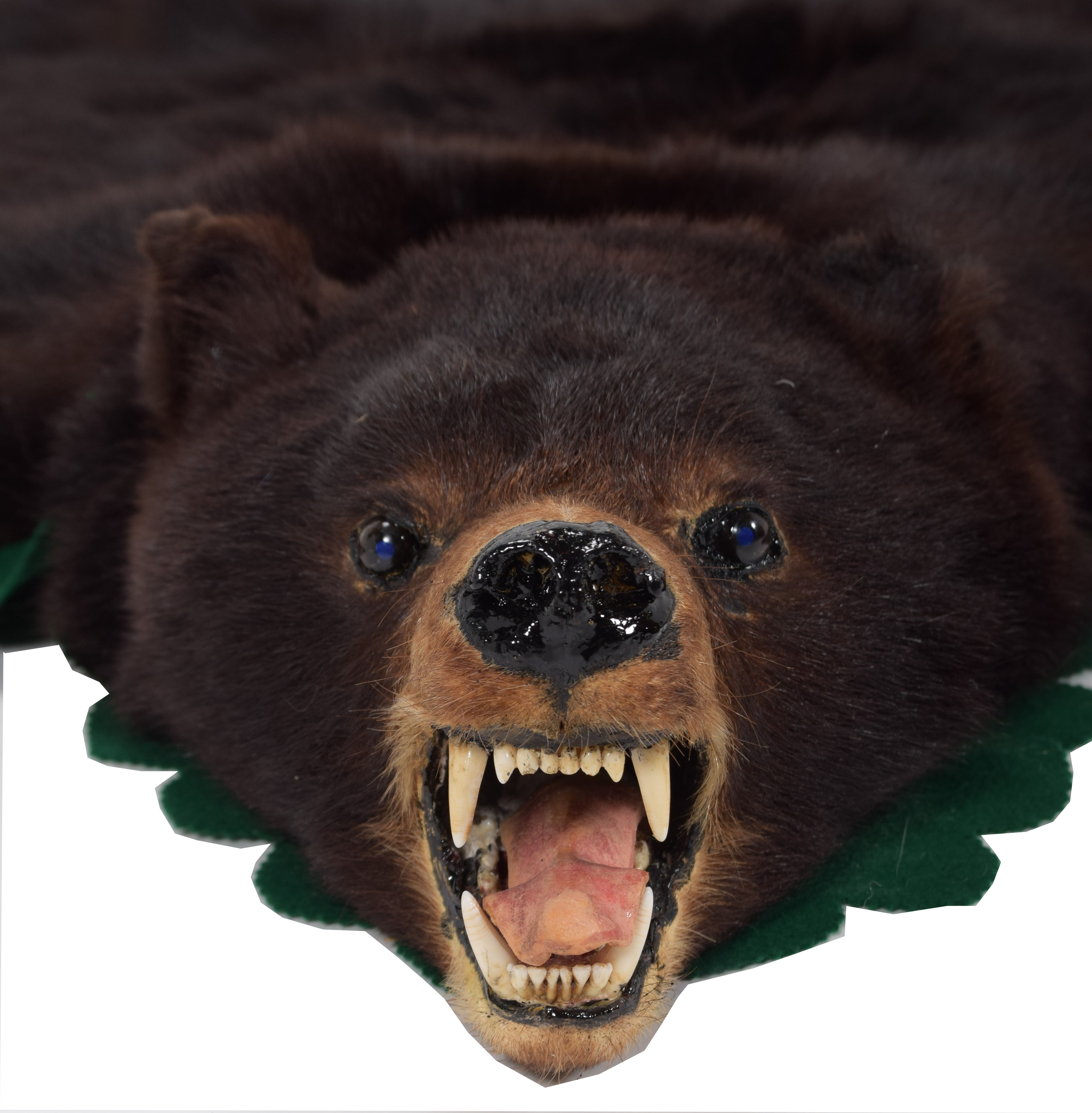 Lot 99 Taxidermy North American Black Bear Skin Rug
