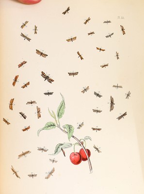Lot 2158 - Humphreys & Westwood, British Butterflies [and] Moths, 1841-3
