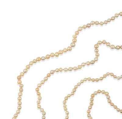 Lot 2038 - Two Seed Pearl Necklaces