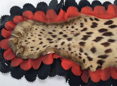 Lot 28 - Taxidermy: Indian Leopard Skin Rug (Panthera...