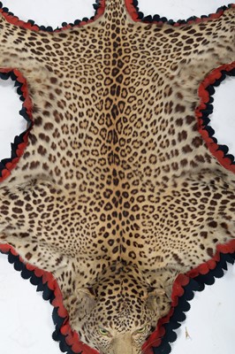 Lot 28 - Taxidermy: Indian Leopard Skin Rug (Panthera...