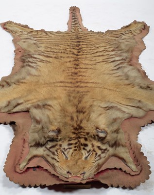 Lot 17 - Taxidermy: Bengal Tiger Skin (Panthera tigris...
