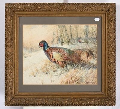 Lot 1008 - William Woodhouse (1857-1939) Woodcock in...