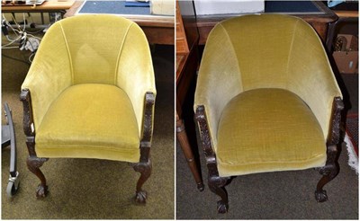 Lot 561 - A pair of early 20th century tub chairs with carved mahogany frame and ball and claw feet