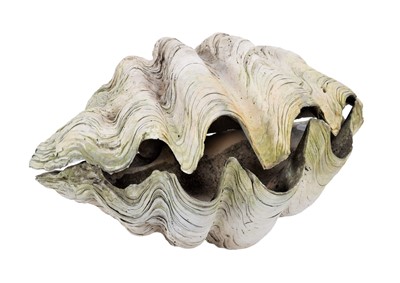 Lot 143 - Conchology: Giant Clam Shell (Tridacna gigas),...