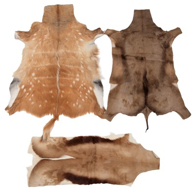 Lot 91 - Skins/Hides: A Collection of African &...