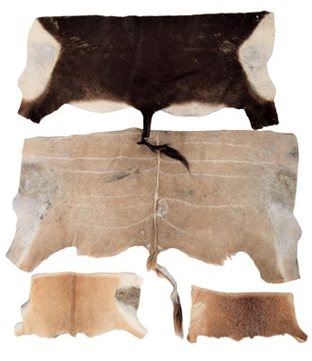 Lot 91 - Skins/Hides: A Collection of African &...
