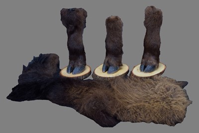 Lot 159 - Taxidermy: South African Giraffe Legs (Giraffa...