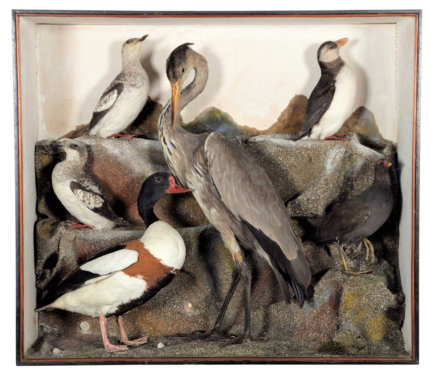 Lot 18 - Taxidermy: A Late Victorian Cased Diorama of...