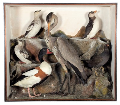 Lot 18 - Taxidermy: A Late Victorian Cased Diorama of...