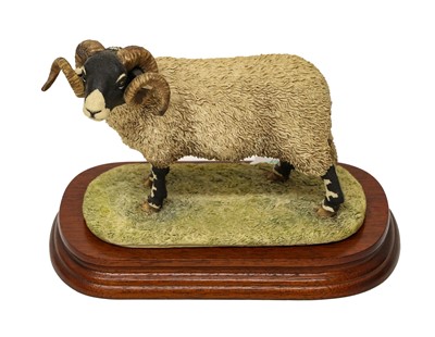 Lot 1109 - Border Fine Arts 'Swaledale Tup' (The Monarch of the Dales)