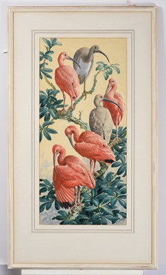 Lot 1066 - Charles Frederick Tunnicliffe RA, RE, ARCA,...