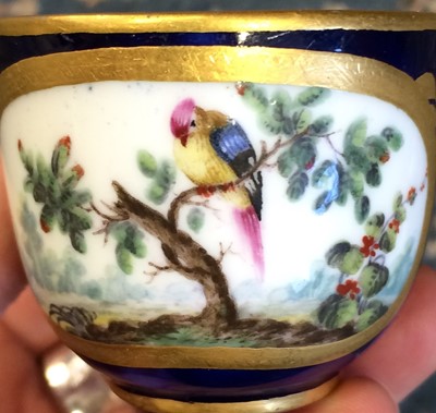 Lot 48 - A Sèvres Porcelain Miniature Tea Cup and...