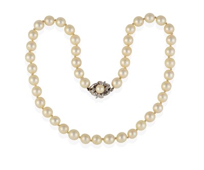 Lot 2433 - A Cultured Pearl Necklace, with a Cultured Pearl and Diamond Cluster Clasp