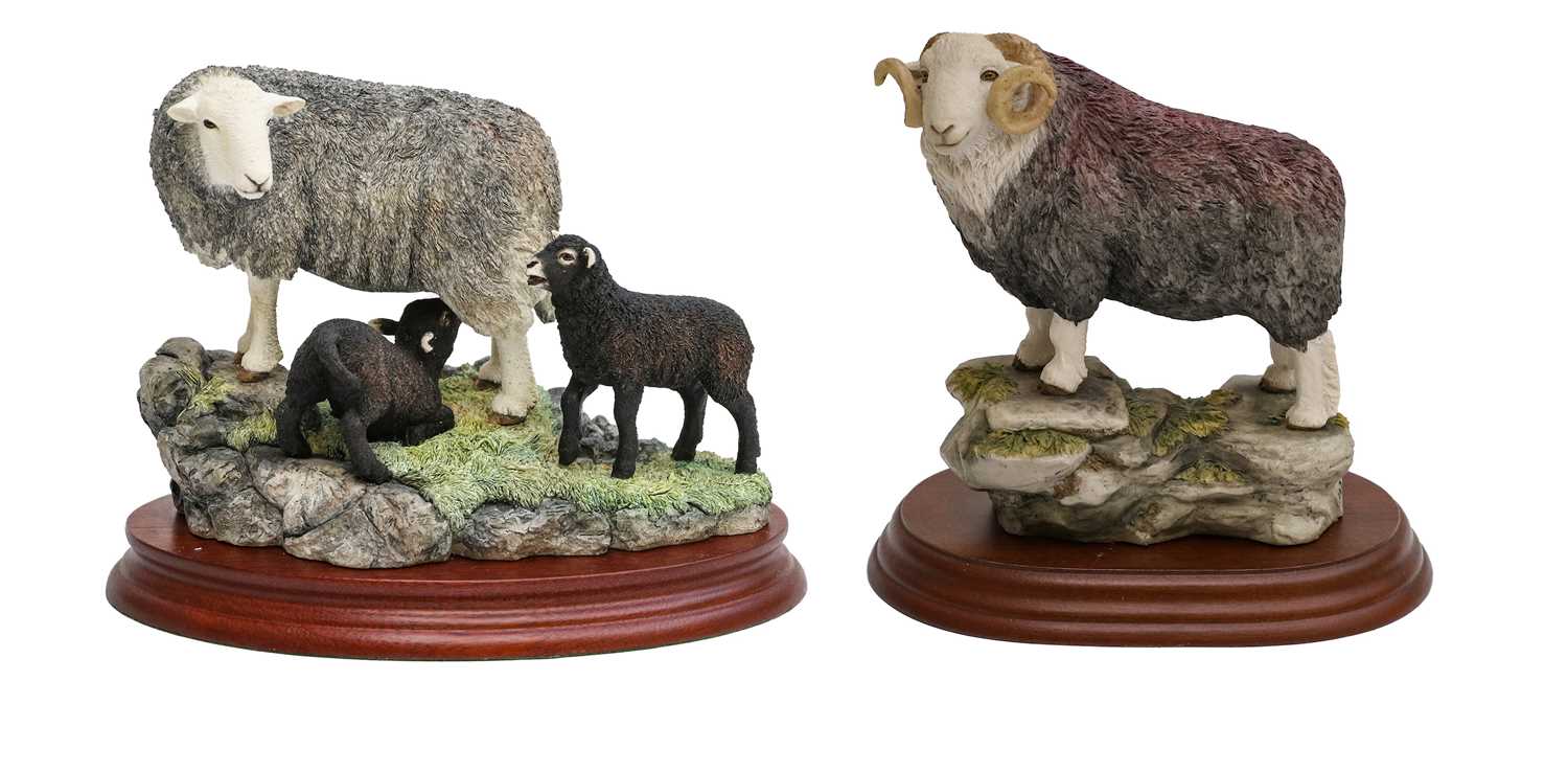 Lot 1097 - Border Fine Arts 'Herdwick Ewe and Lambs'