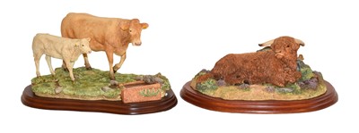 Lot 135 - Border Fine Arts Studio cattle models...
