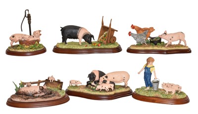 Lot 134 - Border Fine Arts Studio Pig models including: '...