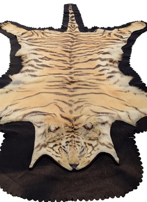 Lot 163 - Taxidermy: Bengal Tiger Skin Rug (Panthera...