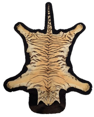 Lot 163 - Taxidermy: Bengal Tiger Skin Rug (Panthera...