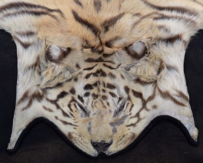 Lot 163 - Taxidermy: Bengal Tiger Skin Rug (Panthera...