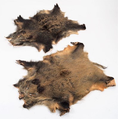 Lot 1115 - Hides/Skins: European Wild Boar Hides, circa...