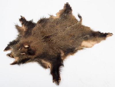 Lot 1115 - Hides/Skins: European Wild Boar Hides, circa...