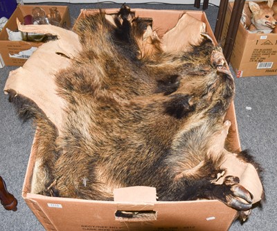 Lot 1115 - Hides/Skins: European Wild Boar Hides, circa...