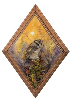 Lot 337 - Taxidermy: A Wall Cased Indian Scops Owl (Otus...