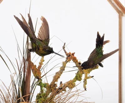 Lot 212 - Taxidermy: A Late Victorian Cased Pair of...