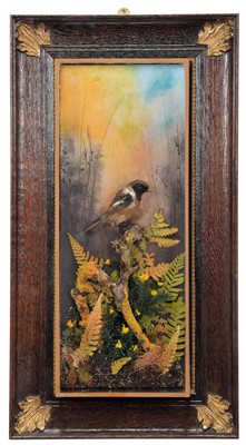 Lot 166 - Taxidermy: A Wall Cased European Stonechat...