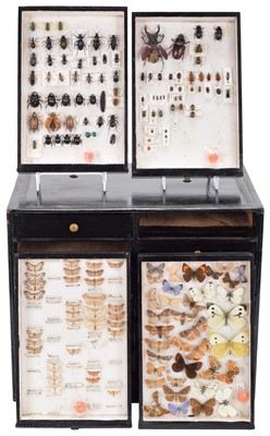 Lot 304 - Entomology: A Collection of Various Micro...