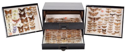 Lot 302 - Entomology: A Collection of British European...