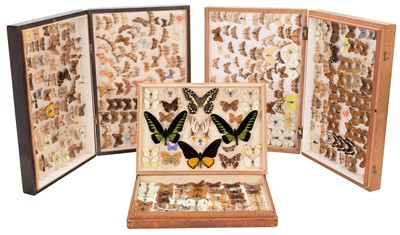 Lot 307 - Entomology: A Collection of World, European &...