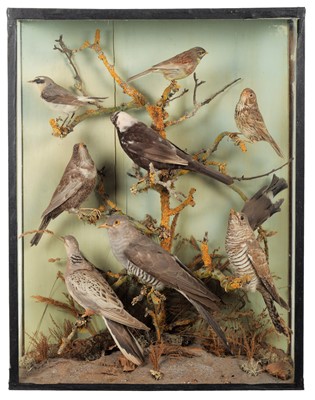 Lot 265 - Taxidermy: A Late Victorian Cased Diorama of...