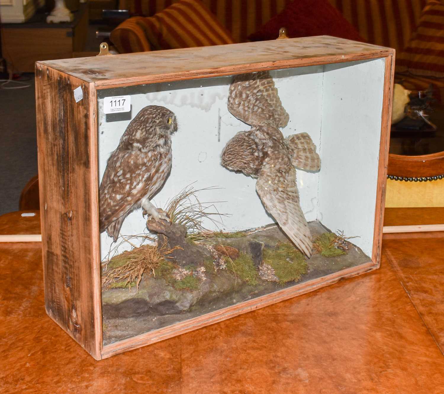 Lot 1117 - Taxidermy: A Late Victorian Cased Pair of...