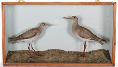 Lot 266 - Taxidermy: A Late Victorian Cased Pair of...
